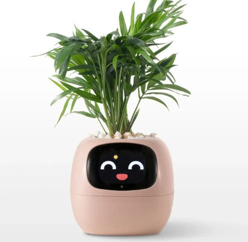 AI Smart Planter