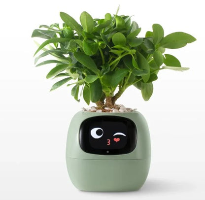 AI Smart Planter