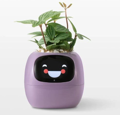 AI Smart Planter