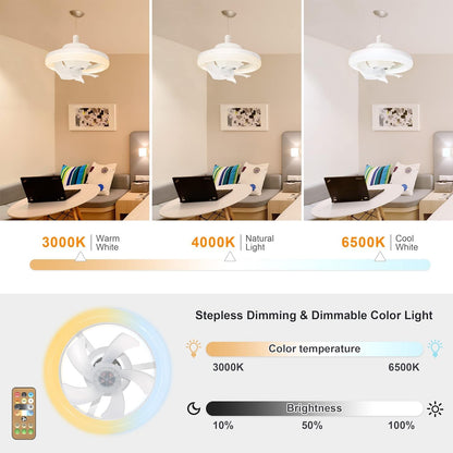 Ceiling Fan with LED Light Remote Control