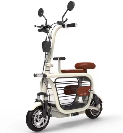 Electric Scooters with a Folding Storage