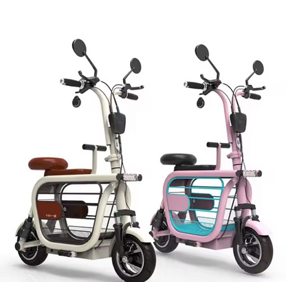 Electric Scooters with a Folding Storage