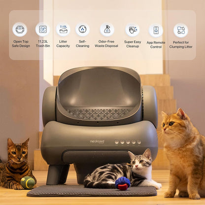 Self Cleaning Cat Litter Box