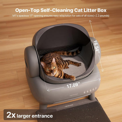 Self Cleaning Cat Litter Box